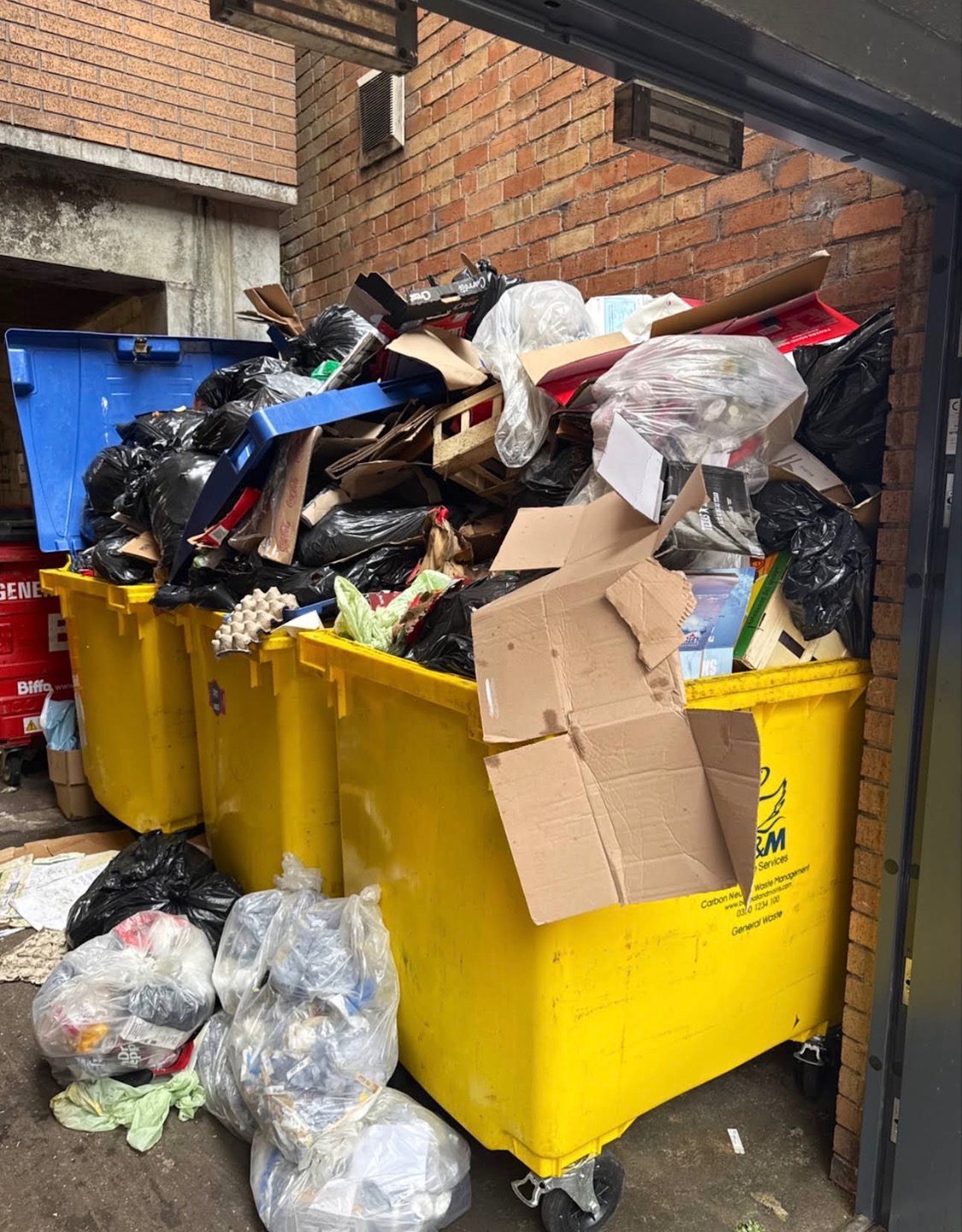 Overflowing commercial bins with cardboard and bagged waste cleared by LV81 Removals